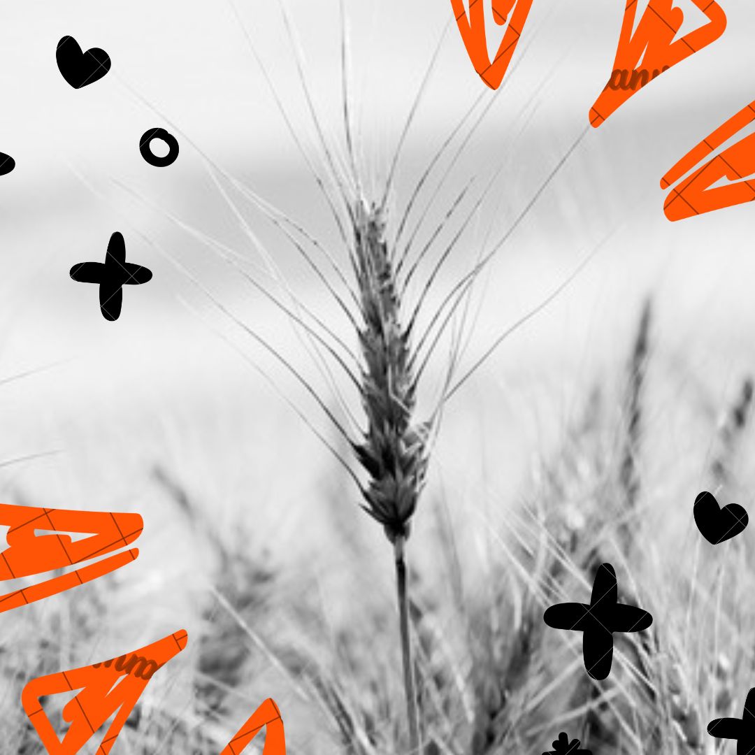 Case Study: How High Fiber Foods Keep You Fuller Longer